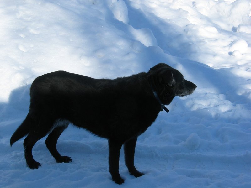 g6/88/576188/2/76372602.rSbdsBSw.jpg