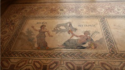 Paphos Mosaic