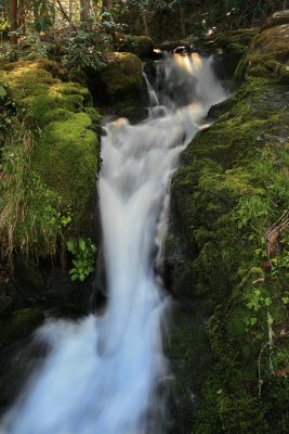 Random Waterfall, Smoky Mountains