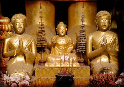 Temple Buddhas