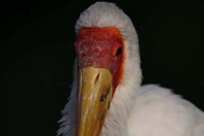 DSC_16709.jpg