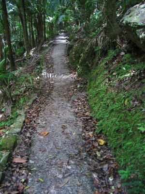 El Yunque Trail