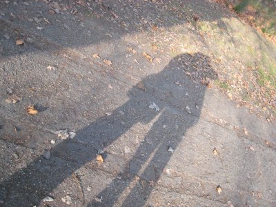 Shadows in the park