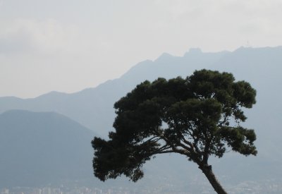 Abstract with tree and mountain