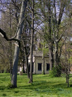 Ashland -The Henry Clay House