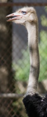 IMG_1910c.jpg