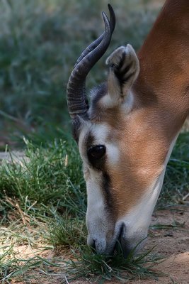 IMG_1913c.jpg