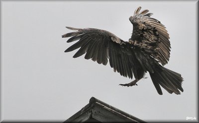 g6/88/642388/3/82787195.A5MF6Gq0.jpg