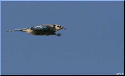 g6/88/642388/3/86808980.V5fTTqNO.jpg