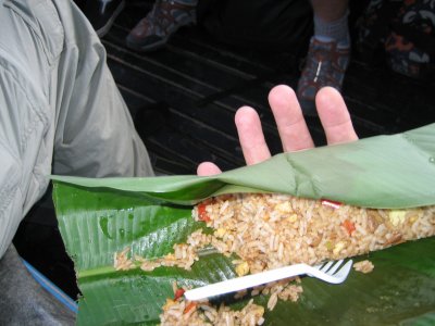 Rice wrap