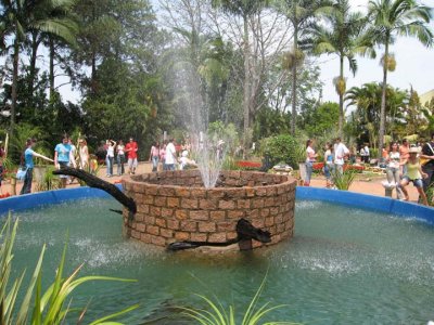 Foto feita em Holambra 2006