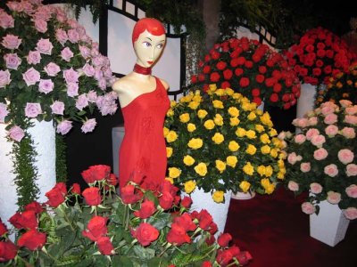 Foto feita em Holambra 2006
