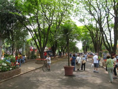 Foto feita em Holambra 2006