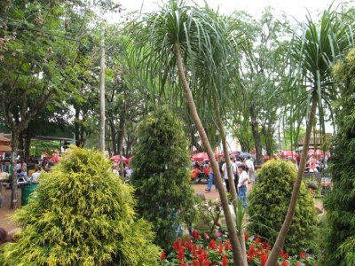 Foto feita em Holambra 2006