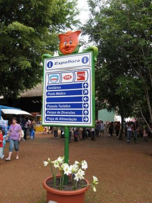 Foto feita em Holambra 2006