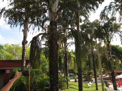 Parque Lagoa Quente