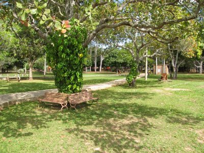 Parque Lagoa Quente