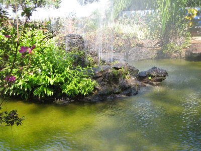 Jardim Japonês em Caldas Novas GO