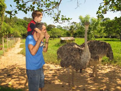 Jardim Japonês em Caldas Novas GO