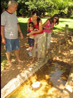 Jardim Japonês em Caldas Novas GO
