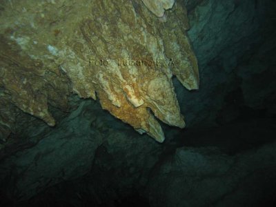 Cenotes Dos Ojos - Dive