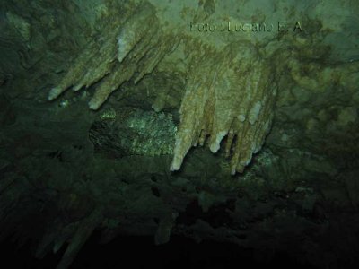 Cenotes Dos Ojos - Dive