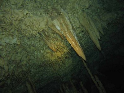 Cenotes Dos Ojos - Dive