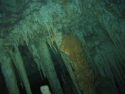 Cenotes Dos Ojos - Dive