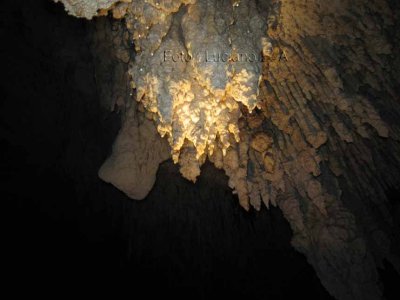 Cenotes Dos Ojos - Dive