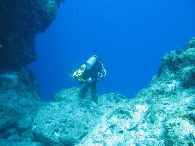 Cozumel sub