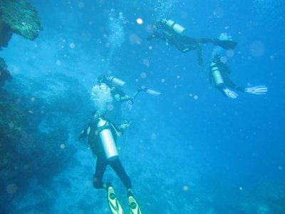 Cozumel sub