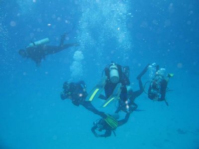 Cozumel sub