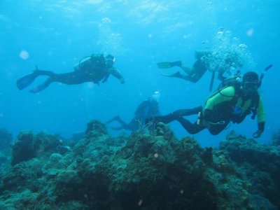 Cozumel sub