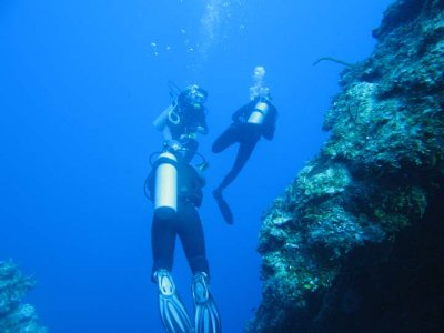 Cozumel sub