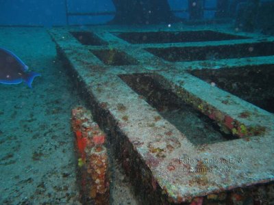 Naufragio Corveta C53 - Cozumel Mexico