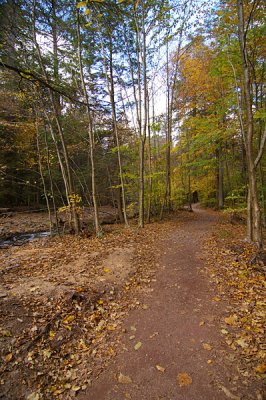 Trail: Lowland section along Kitchen Creek