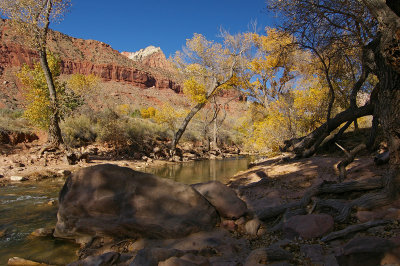 Virgin River Zion National Park Utah.jpg