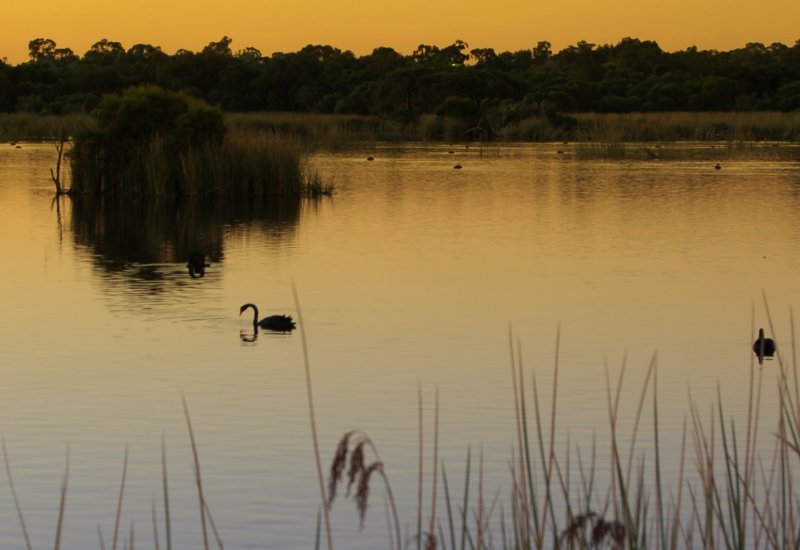 Sunset at my lake