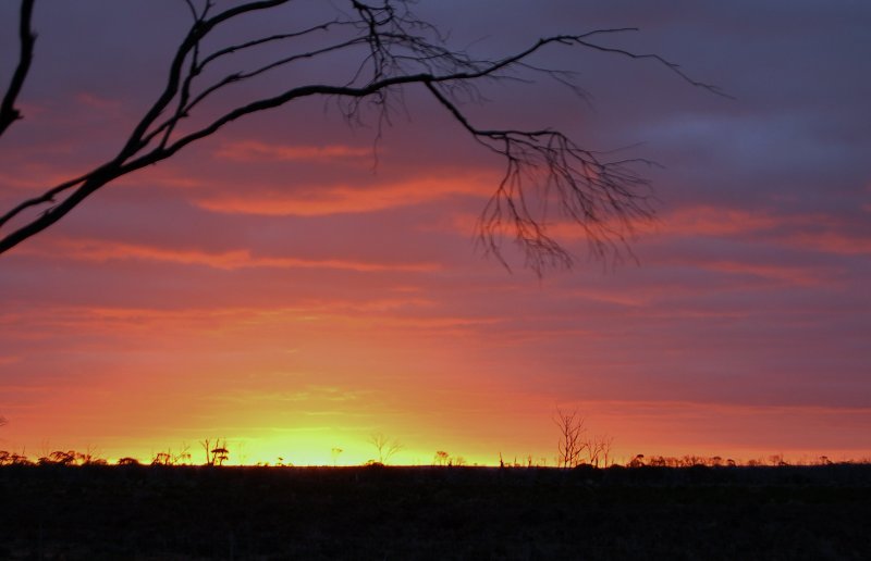 Wheatbelt sunset