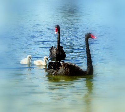 DSC_0052.JPG