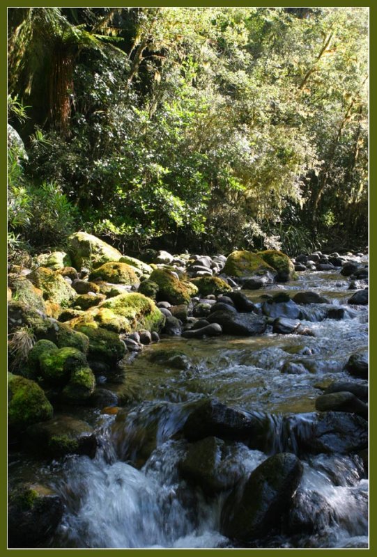 Typical stream crossing.