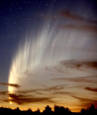 Comet McNaught