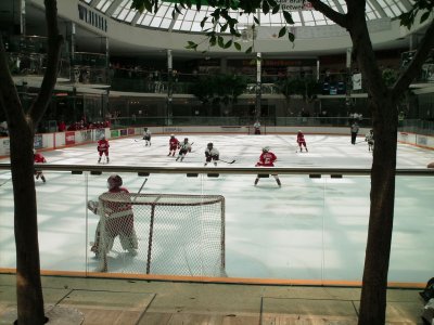 Watching the ice hockey in West Ed mall, while Deb's still shopping