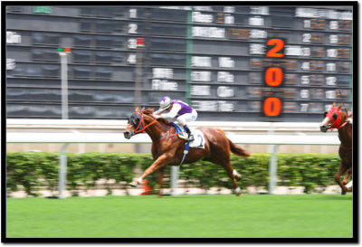 HK Horse Racing