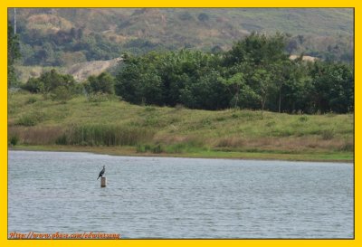 Wetland Park