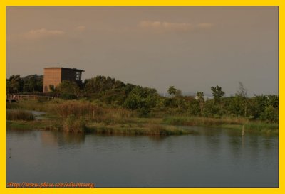 Wetland Park