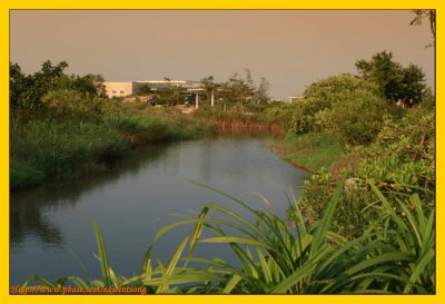 Wetland Park