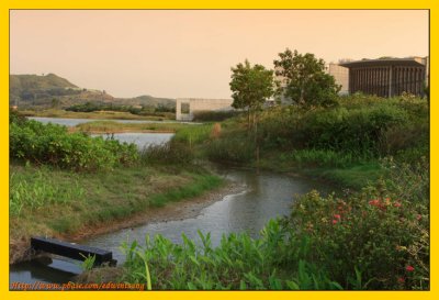 Wetland Park