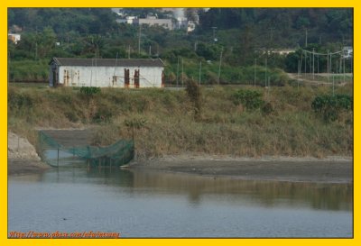 Wetland Park