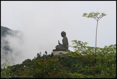 Tian Tan Big Buddha019.jpg